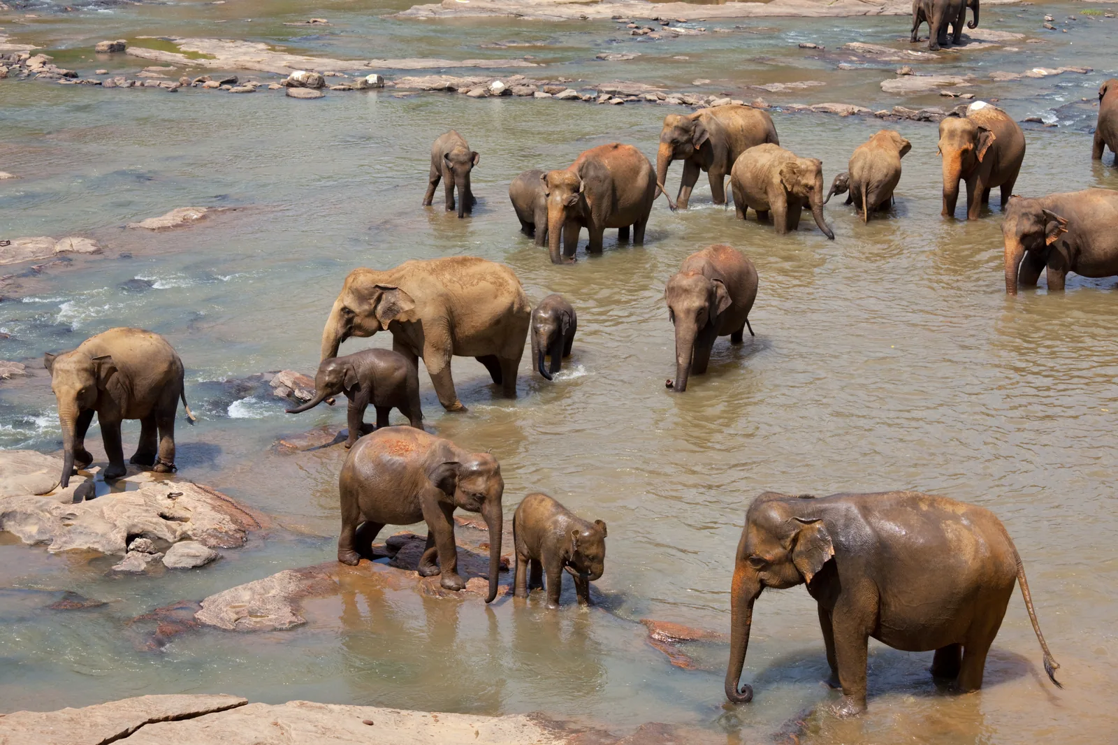 Sri Lanka Classic: Hill Stations & Heritage Forts