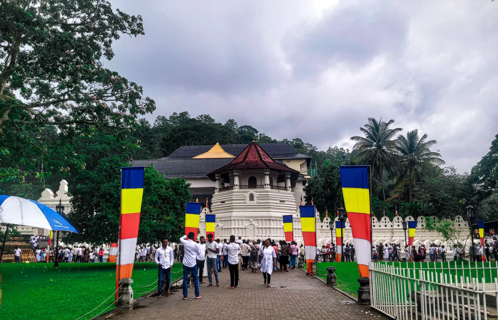 Sri Lanka Premium: Immersive Temples, Tea Trails & Tropical Coast