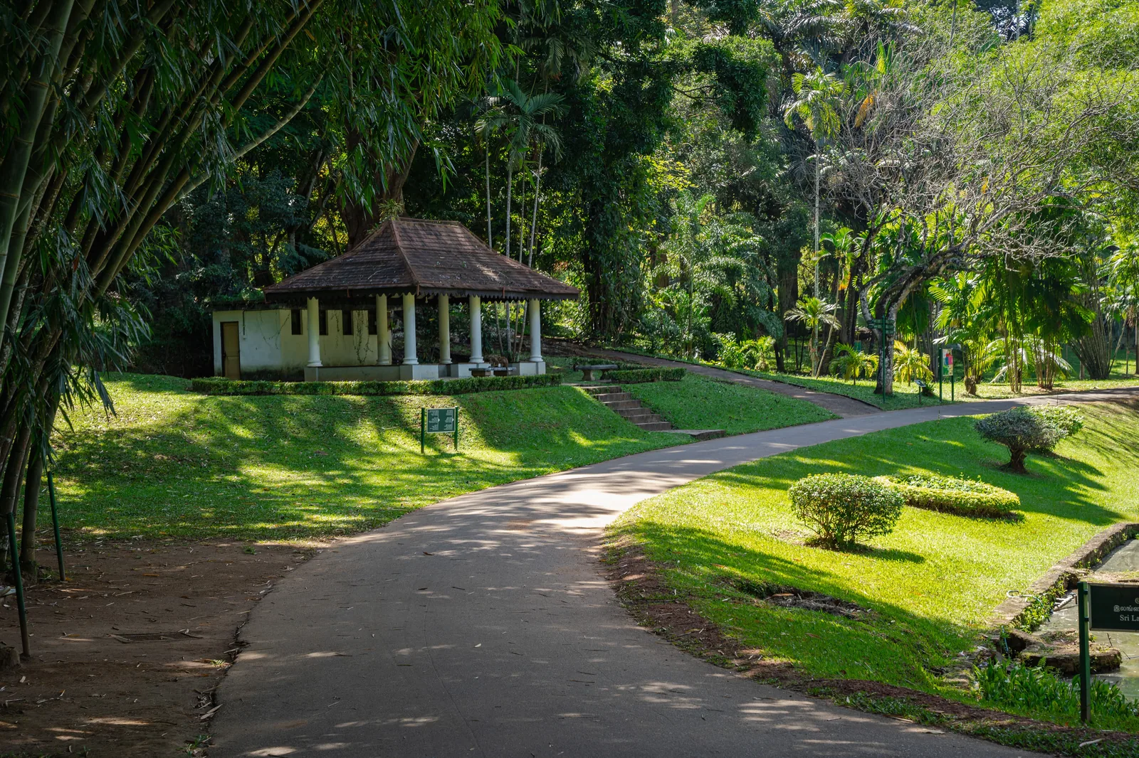Sri Lanka Premium: Signature Cultural Heritage & Coastal Retreat