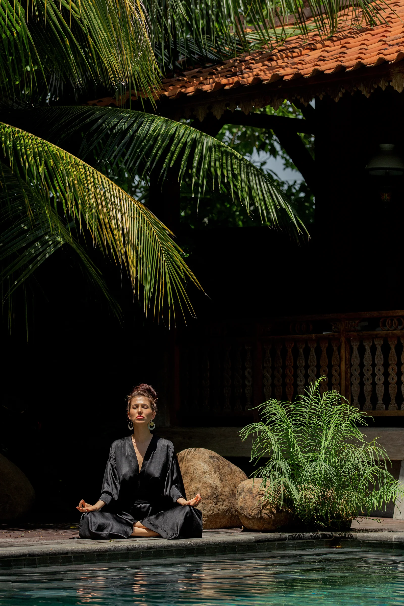 Wellness & Ayurveda