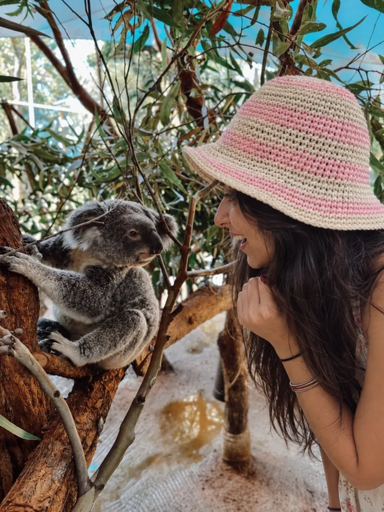 Spotting a wild koala made my solo Australia trip even more special