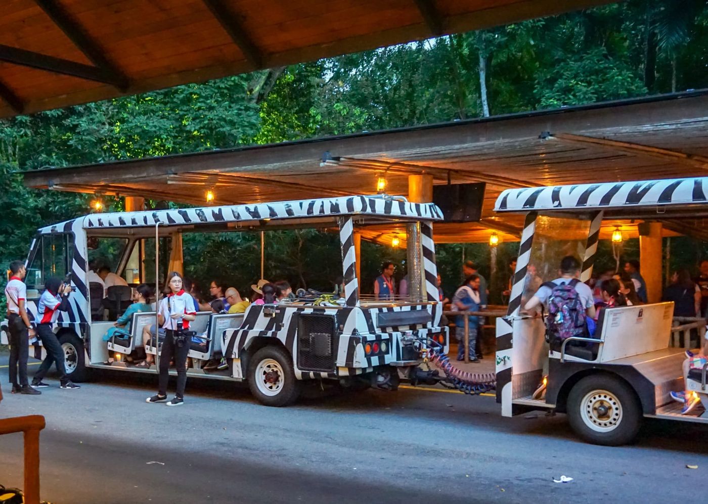 Night Safari with tram ride