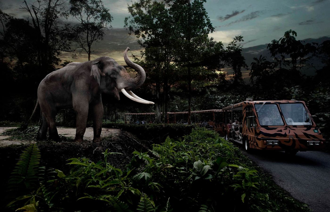 Flight to Singapore and the Night Safari 1